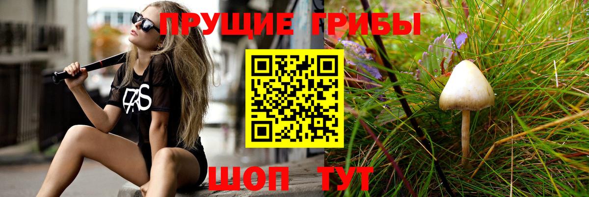 Псилоцибиновые грибы прущие грибы  Псилоцибиновые грибы Psilocybe  Вход с VPN  Гусев 